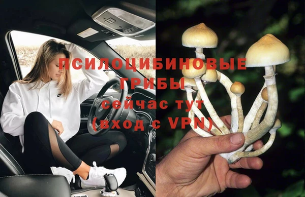 герыч Верхний Тагил