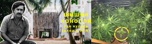 шишки Бугульма