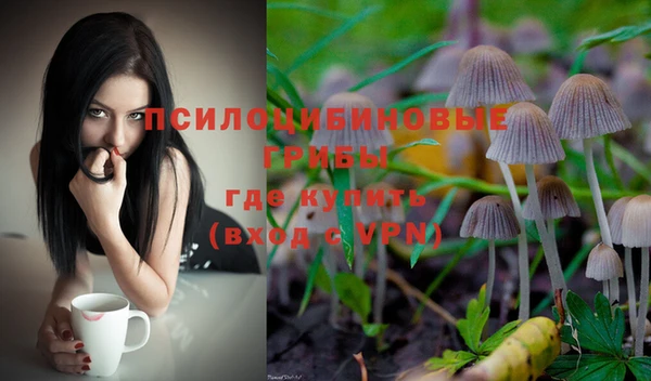 стафф Бородино