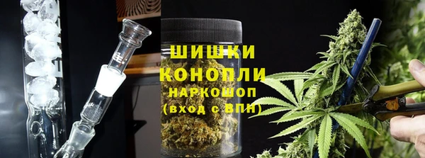 стафф Бородино