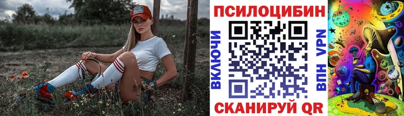 Псилоцибиновые грибы мухоморы  закладка  Трубчевск 